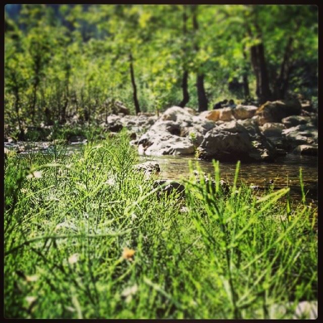  chouene  river  Green  grass  nature  Lebanon  rocks ...