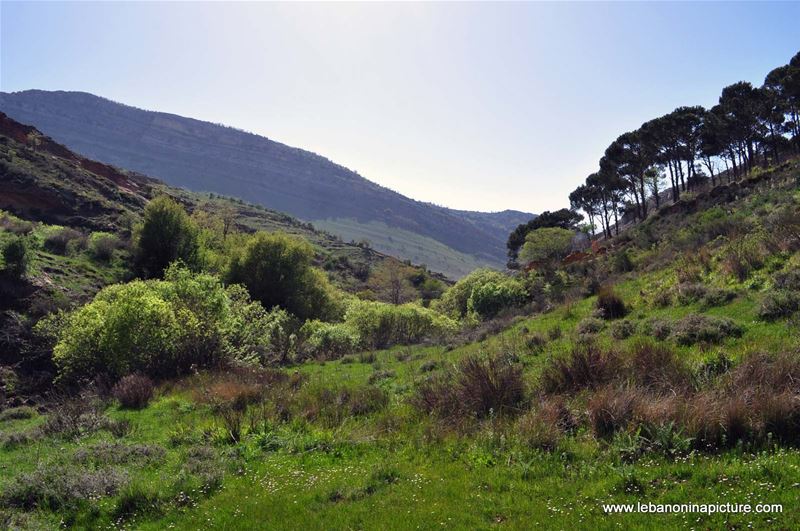 Chouf Bioshphere Reserve Niha Fort