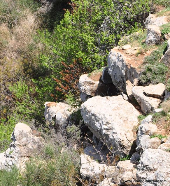 Chouf Bioshphere Reserve Niha Fort