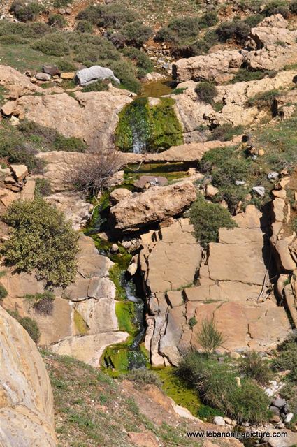 Chouf Bioshphere Reserve Niha Fort