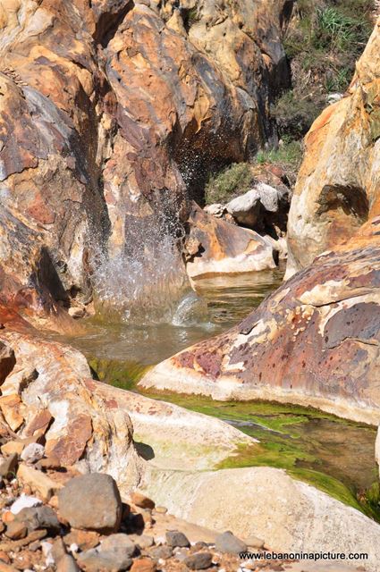 Chouf Bioshphere Reserve Niha Fort
