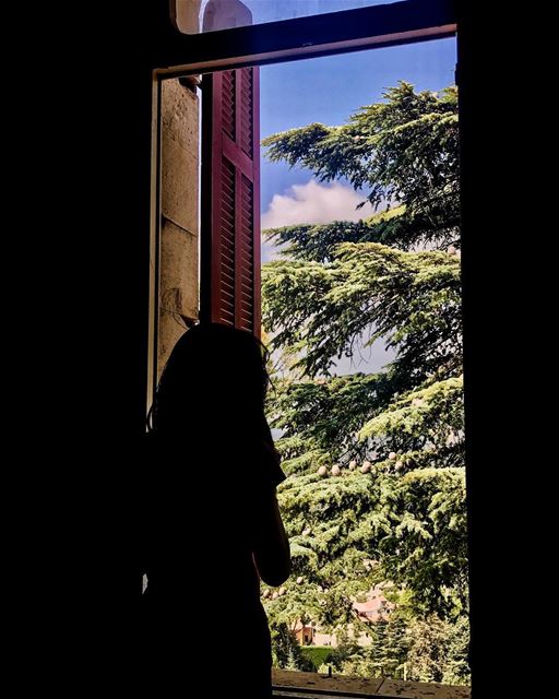 ... (Chouf)
