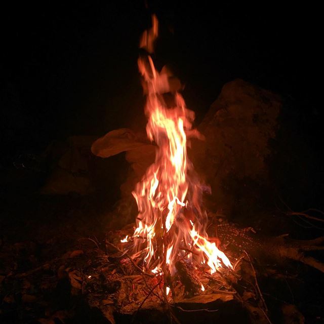  Chouwen  camping  fire  flames  potatoes  nice  time  friends  nature ... (Chouwen)