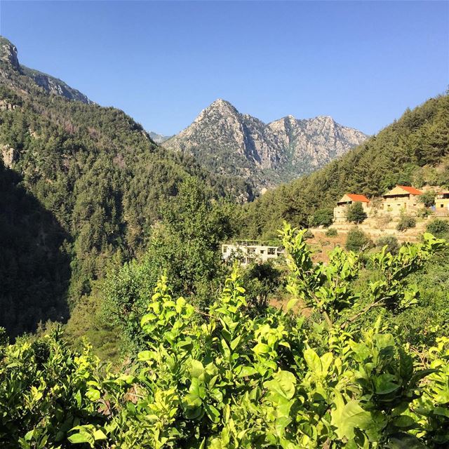  Chouwen  camping  nice  time  friends  nature  landscape  mountains  lake... (Chouwen)
