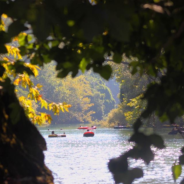  chouwen  lake  swimming  nature  lebanon  lebanonspotlights ...