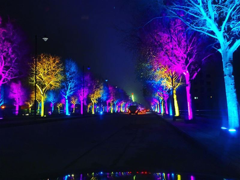 Christmas decoration  zahleh  christmastime  night  light  colors ... (Zahlé, Lebanon)