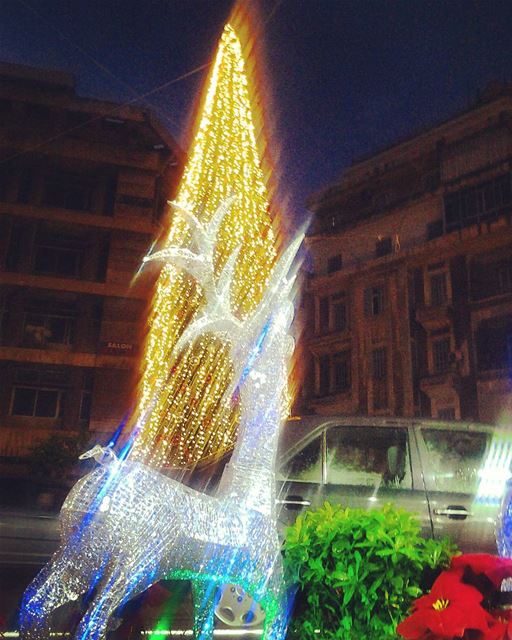 Christmas fever everywhere :) TripoliLB livelovedecember ...