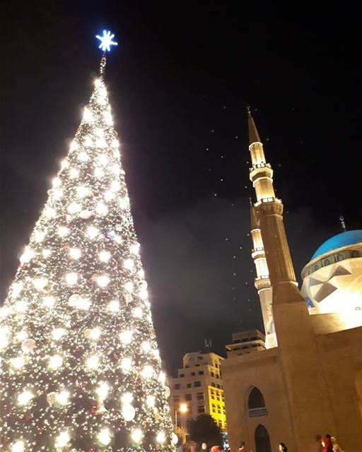 Christmas in Beirut💞 christmastree  Christmas  tree  lights  season ...