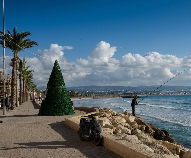 Christmas in Tyre  tyre  sour  Lebanon  livelovelebanon  livelovetyre ... (Tyre, Lebanon)