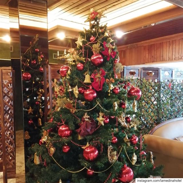 🌲Christmas is loading... May the warmth of Christmas fill your hearts💕 ... (Lamedina Hotel, Beach Club & Resort)