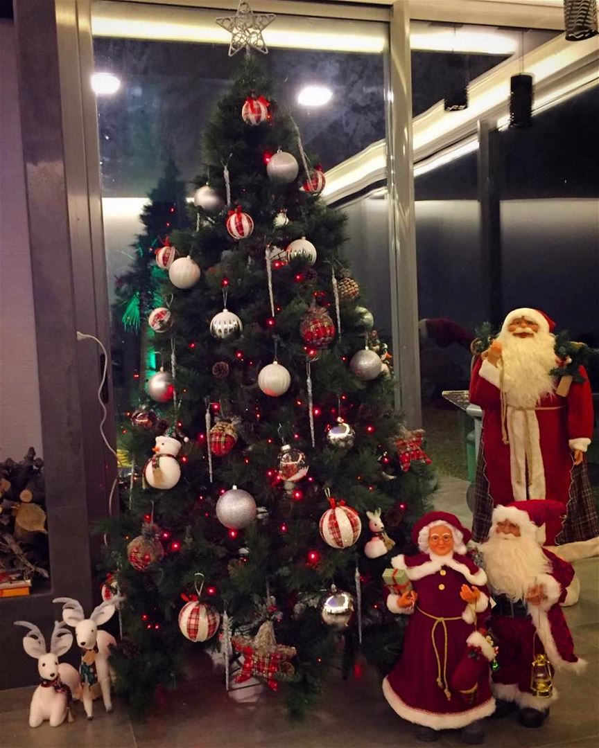 Christmas time 😃 lebanon  batroun  beirutingchristmas  christmastree ... (Batroûn)