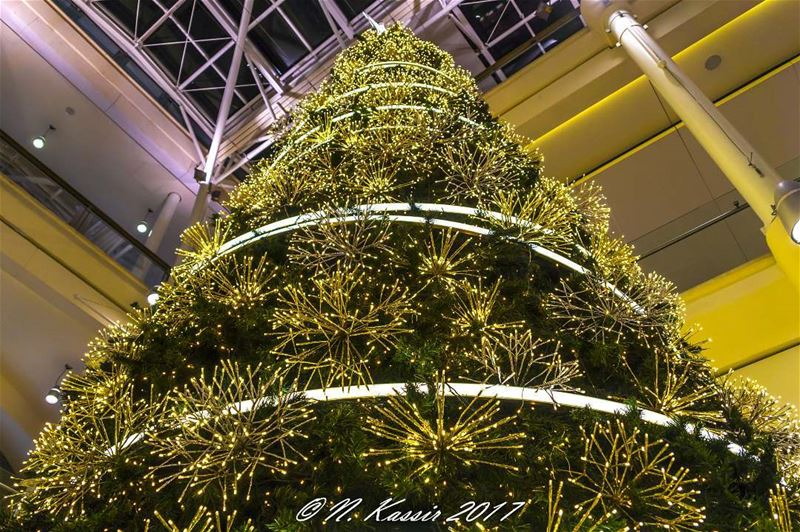  Christmas  tree  Beirut  Lebanon  ig_great_shots_me  bd_shotz ... (MallSquare ABC)