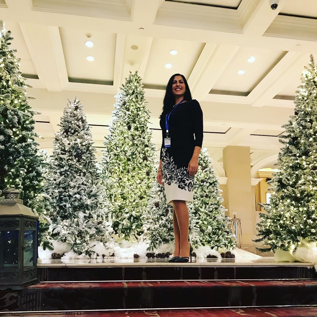  Christmas  tree  lebanon  phoenicia_hotel  lacpa    Lacpa  accounting ... (Phoenicia Hotel Beirut)