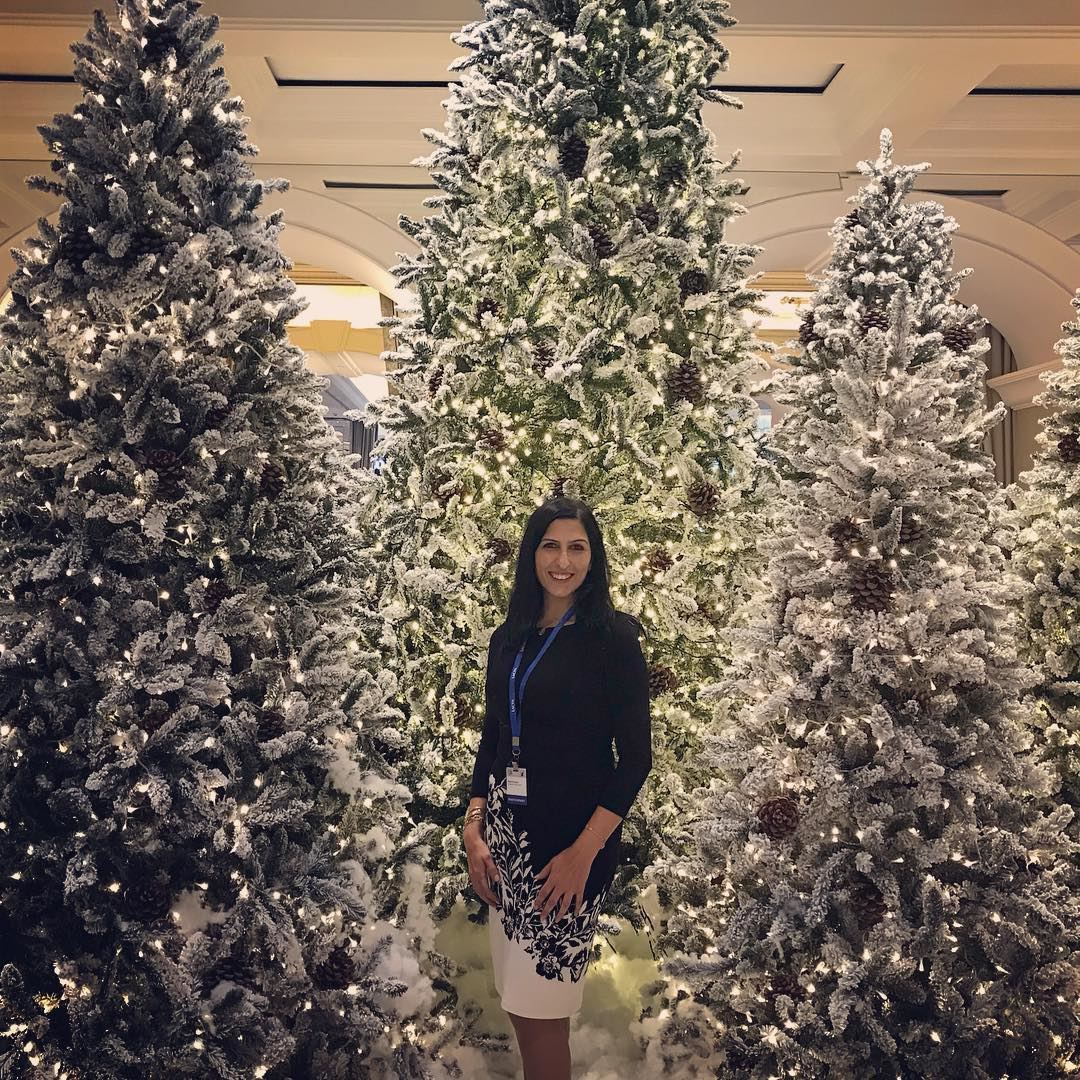  Christmas  tree  lebanon  phoenicia_hotel ... (Phoenicia Hotel Beirut)