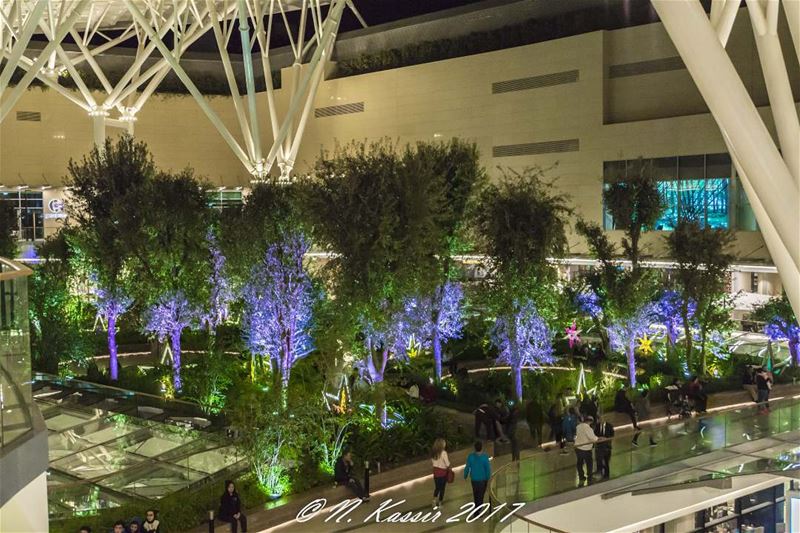  Christmas  trees  Beirut  Lebanon  decoration  lights  ig_great_shots_me ... (Abc, Verdun)