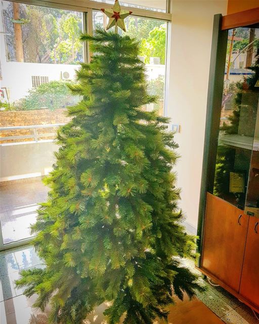  christmastree  inthemaking  office   nrclebanon  nrc  lebanon  beirut ... (Beirut, Lebanon)