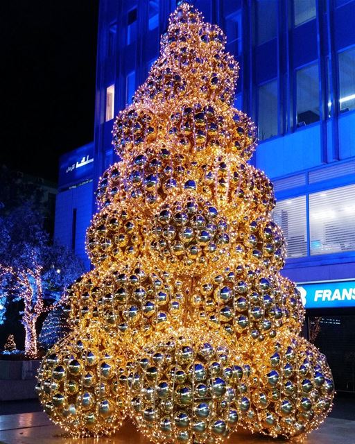 Chritmas spirit 💙 Amazing colours 😻 chritmastree christmas tree...
