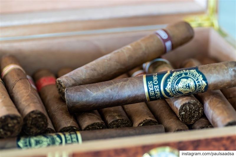  cigars  cuban  cubancigars  beirut  lebanon  smoking ...