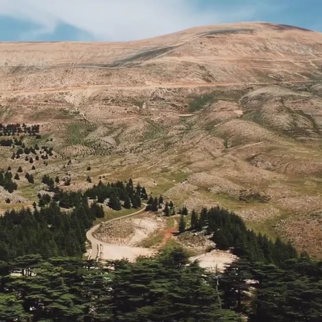 Citados no Bíblia dezenas de vezes, os Cedros do Líbano são considerados... (Bcharré, Liban-Nord, Lebanon)