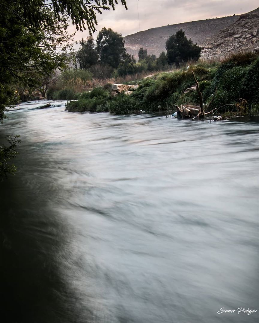 Clarity 🍃🍀.Assi river, Hermel - Lebanon... livelovebeirut ...