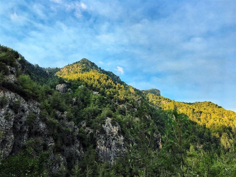 'climb the mountains and get their good tidings...'''' photography ... (Chouène, Mont-Liban, Lebanon)