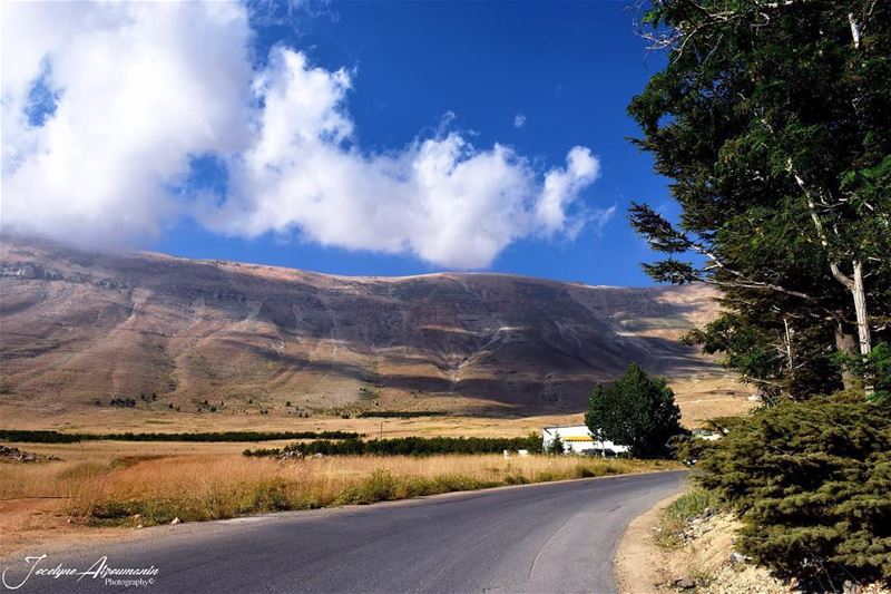 "Close your eyes,clear your heart and let it go..." road beauty... (Arz Bcharé)