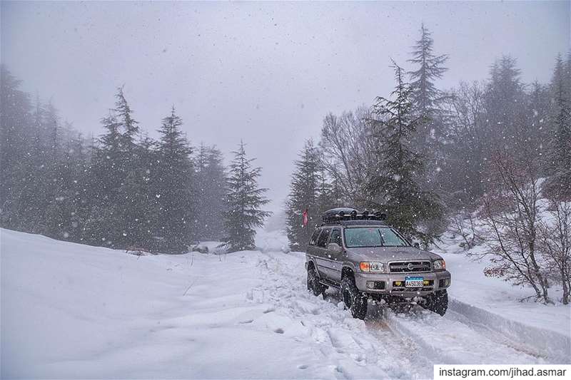 Closed Roads? No Problem!🤓🤓... (Shouf Cedar Ain Zhalta)