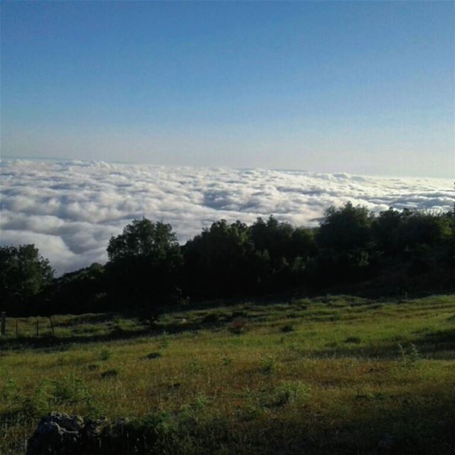  cloud  sunset  forest  akkar  lebanon  liveloveakkar  livelovebeirut  sky...