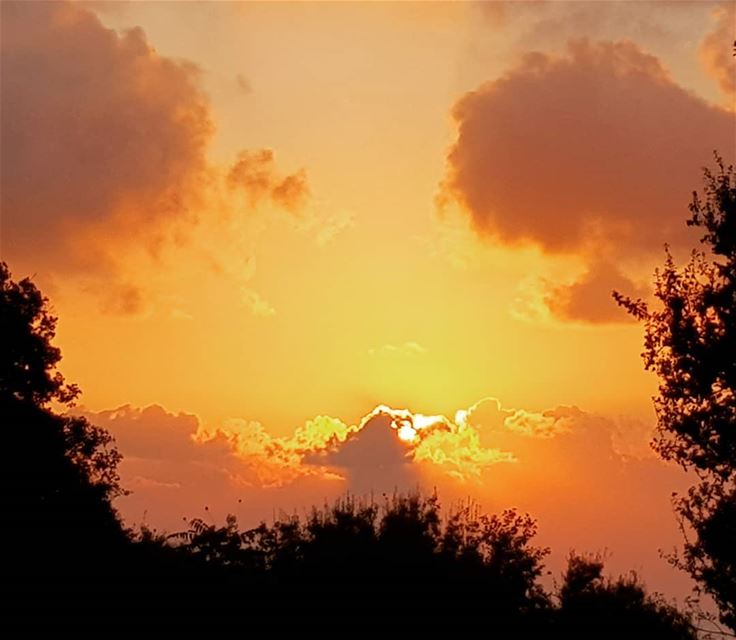 Clouds come floating into my life, no longer to carry rain or usher storm,...