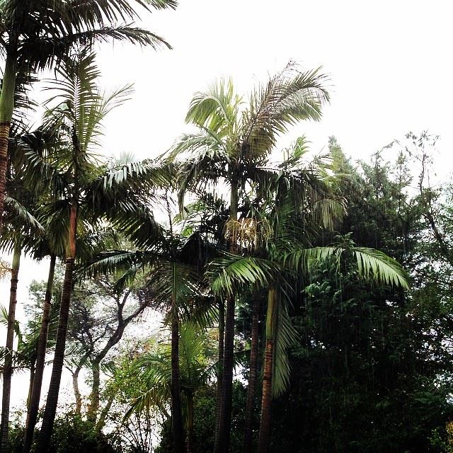  clouds rain green trees nature yarzeh Lebanon...