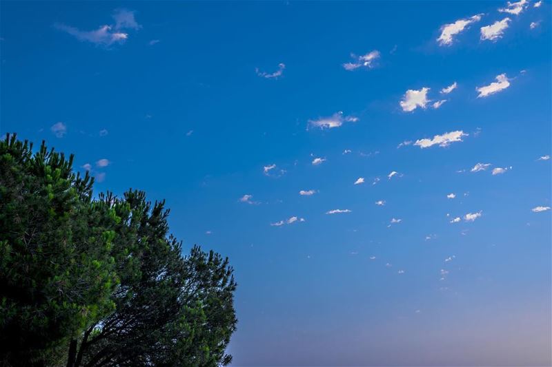  clouds🌳☁️☀️☁️🌳 sunset colors sky lebanon ainjarfa hasbaya mountains... (Ain Jarfa)