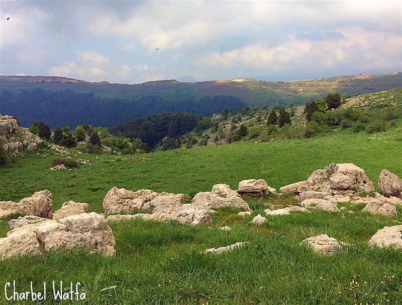  Cloudy  afternoon ☁️☁️☁️ outdoor  nature  green  hills  mountains  grass...