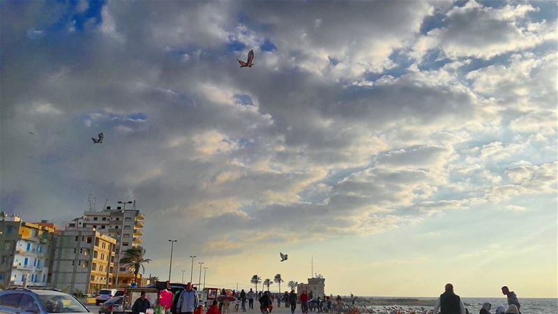 Cloudy Mina  Dreamy  غروب  طرابلس  لبنان  Romantic  ElMina  Mina  Love ... (Kornich El-Mina)