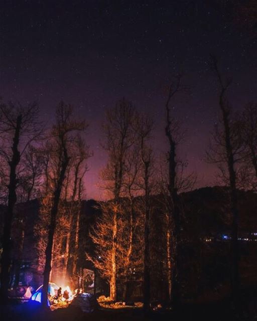 Cold air,dark night,warm fire and bright stars ✨No filter used or needed... (Fnaydek Akkar)