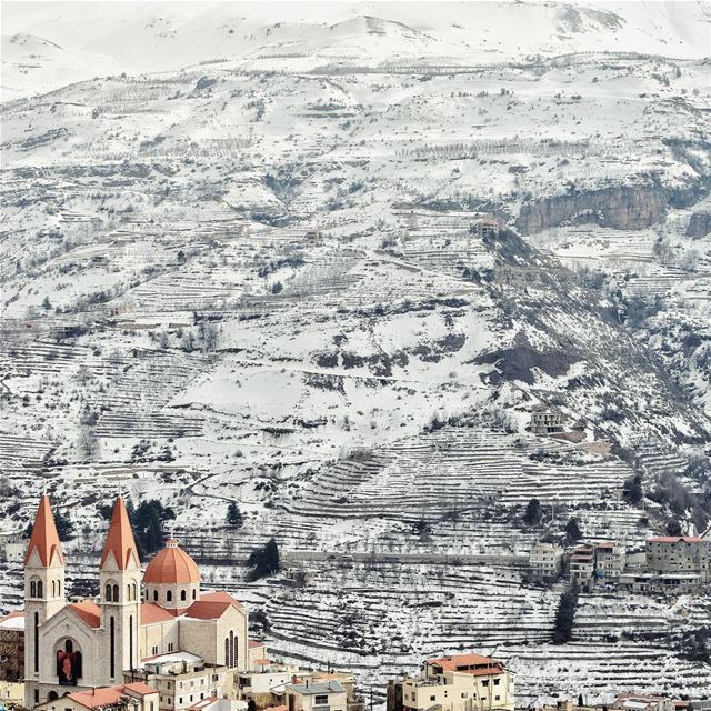 Cold Breeze 🌬 (Bcharreh, Liban-Nord, Lebanon)