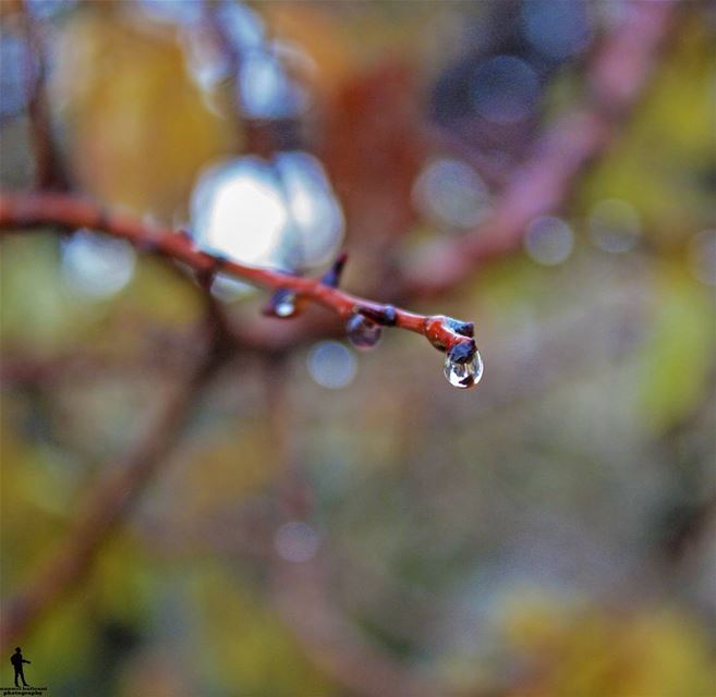 Cold days-warm hearts cold winter rainydays  chouf jbaa lebanon...