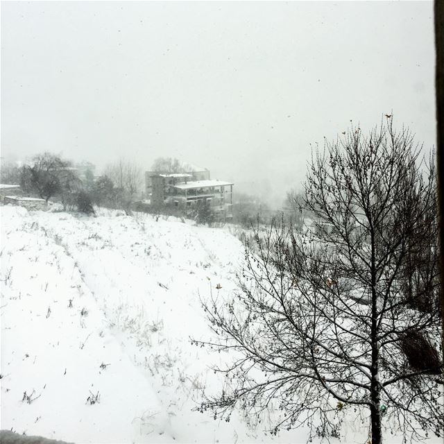  cold winter snow weather Faraya Lebanon...