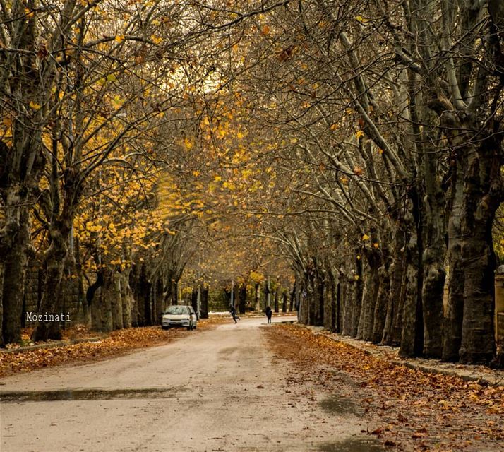 Collect beautiful memories.. ✨✨😉 ===================================== ... (Sawfar, Mont-Liban, Lebanon)