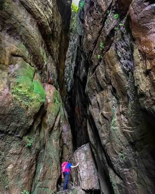 Collect moments, not things! 🌿Photo by @michelfakhoury (Matn District)