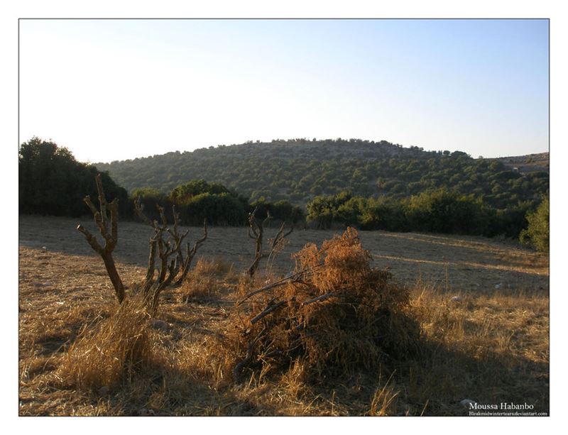 Collection of Images from Yaroun Taken by Moussa Habanbo