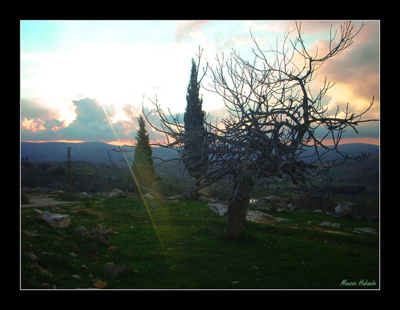 Collection of Images from Yaroun Taken by Moussa Habanbo