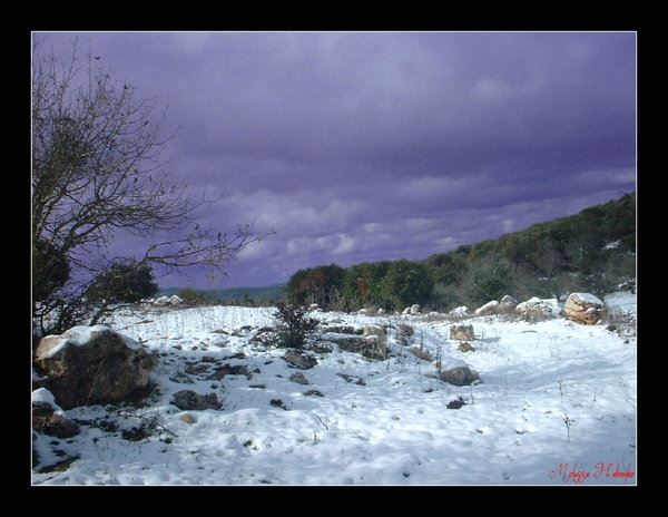 Collection of Images from Yaroun Taken by Moussa Habanbo