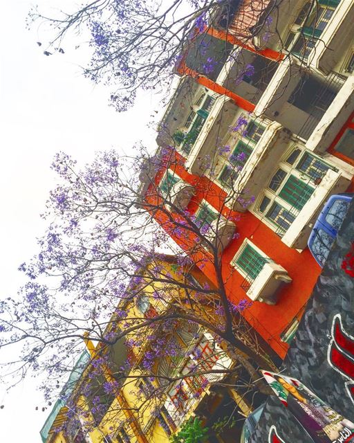 Color your life with  love. 🎈 ... (Beirut, Lebanon)