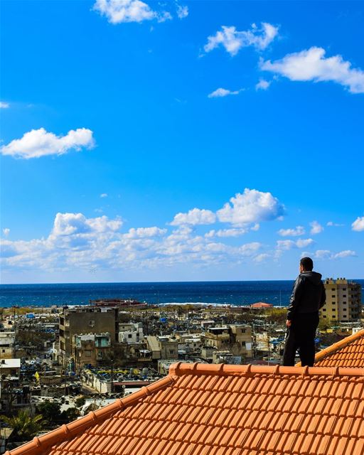 Colorful. ... (Al Mina', Liban-Nord, Lebanon)