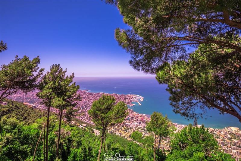  colorfullandscape  landscapephotography  summer  summerlandscape  seaview...