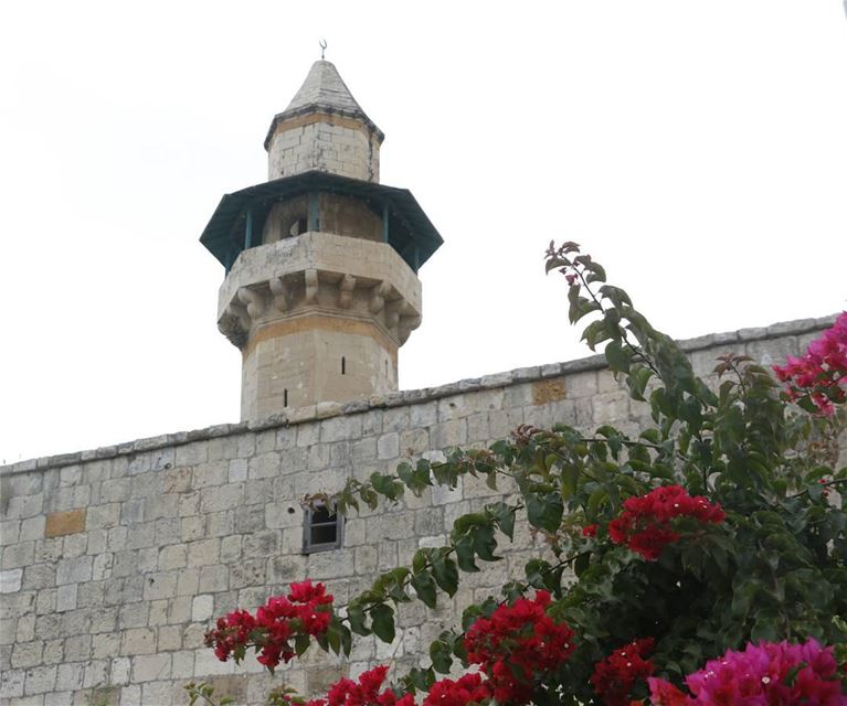 Coloring the medieval mosque... 1493  theoldest  mosque  mountlebanon ... (Dayr Al Qamar, Mont-Liban, Lebanon)