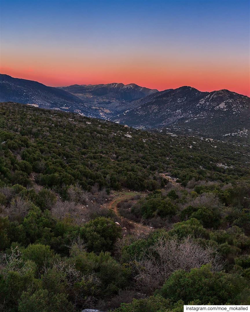 Colors are the smiles of nature. "Leigh Hunt" Vibrant Sunset from Séjoud � (Séjoud, Al Janub, Lebanon)