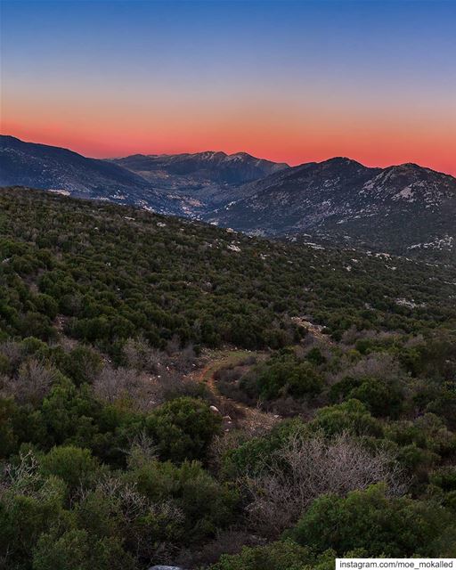 Colors are the smiles of nature. "Leigh Hunt" Vibrant Sunset from Séjoud � (Séjoud, Al Janub, Lebanon)