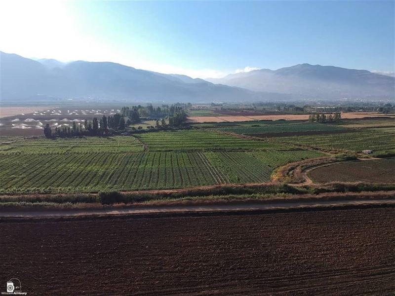  combination land greenland greenfield irrigation bekaa bekaavalley... (Bekaa Valley)