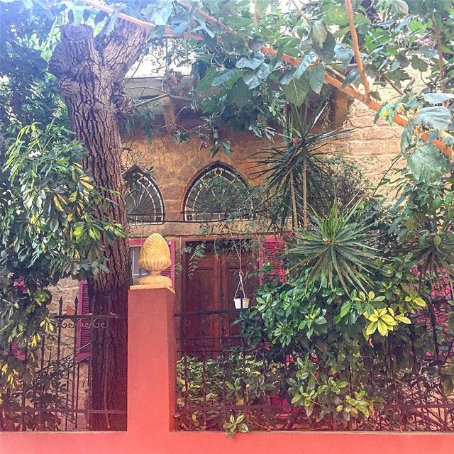 Come find me 🍃🌿🌱 good morning Saturday!... (Achrafieh, Lebanon)